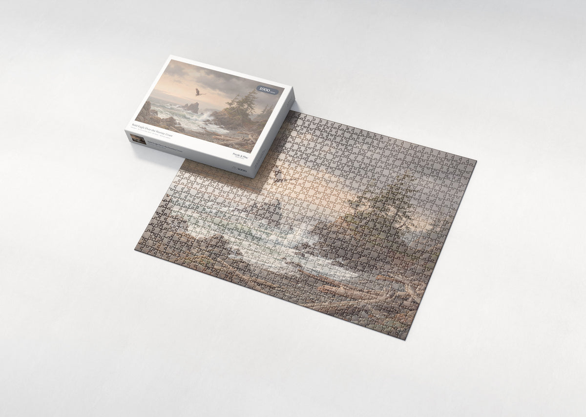 Bald Eagle Over the Stormy Coast jigsaw puzzle - box and puzzle