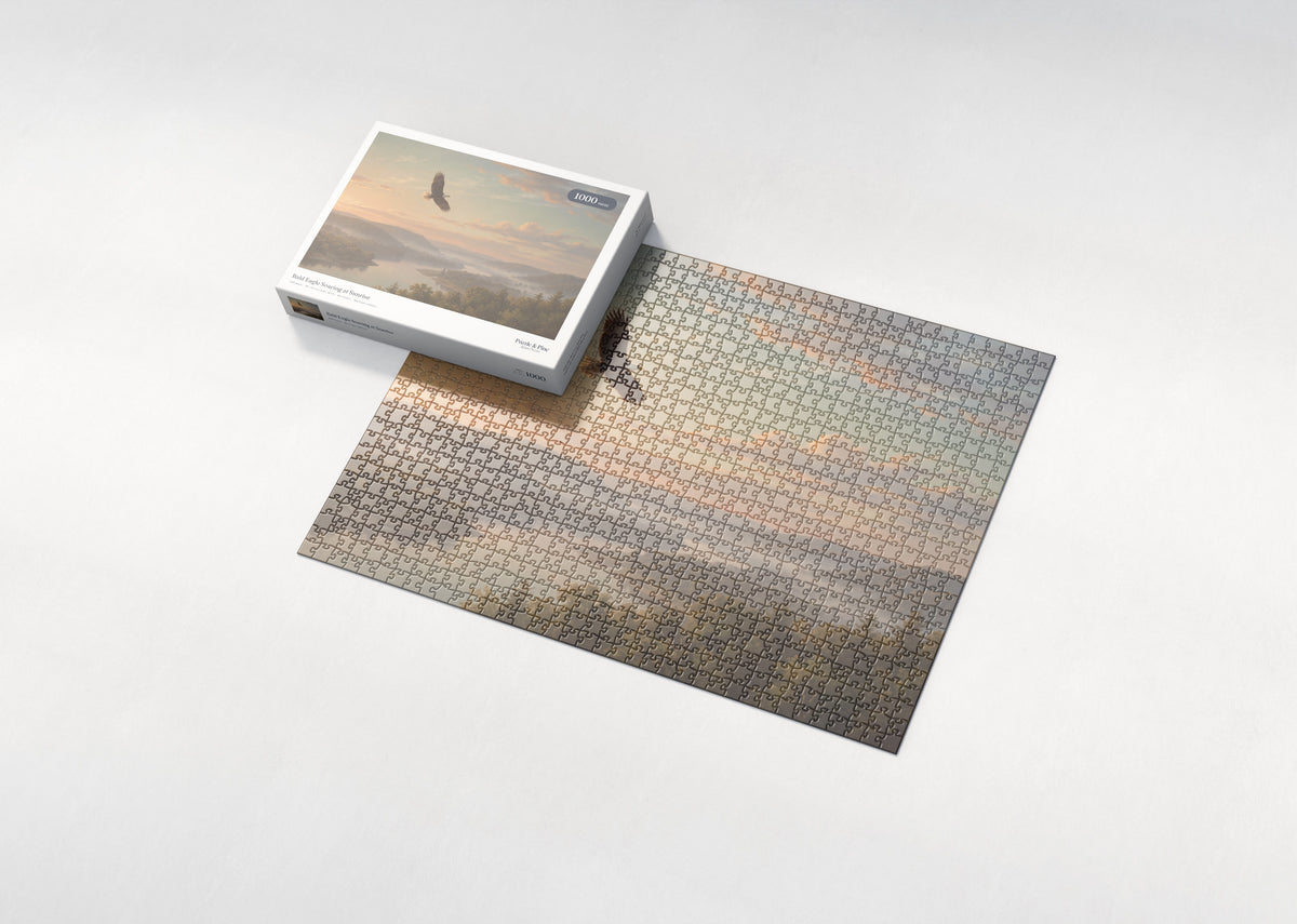 Bald Eagle Soaring at Sunrise jigsaw puzzle - box and puzzle
