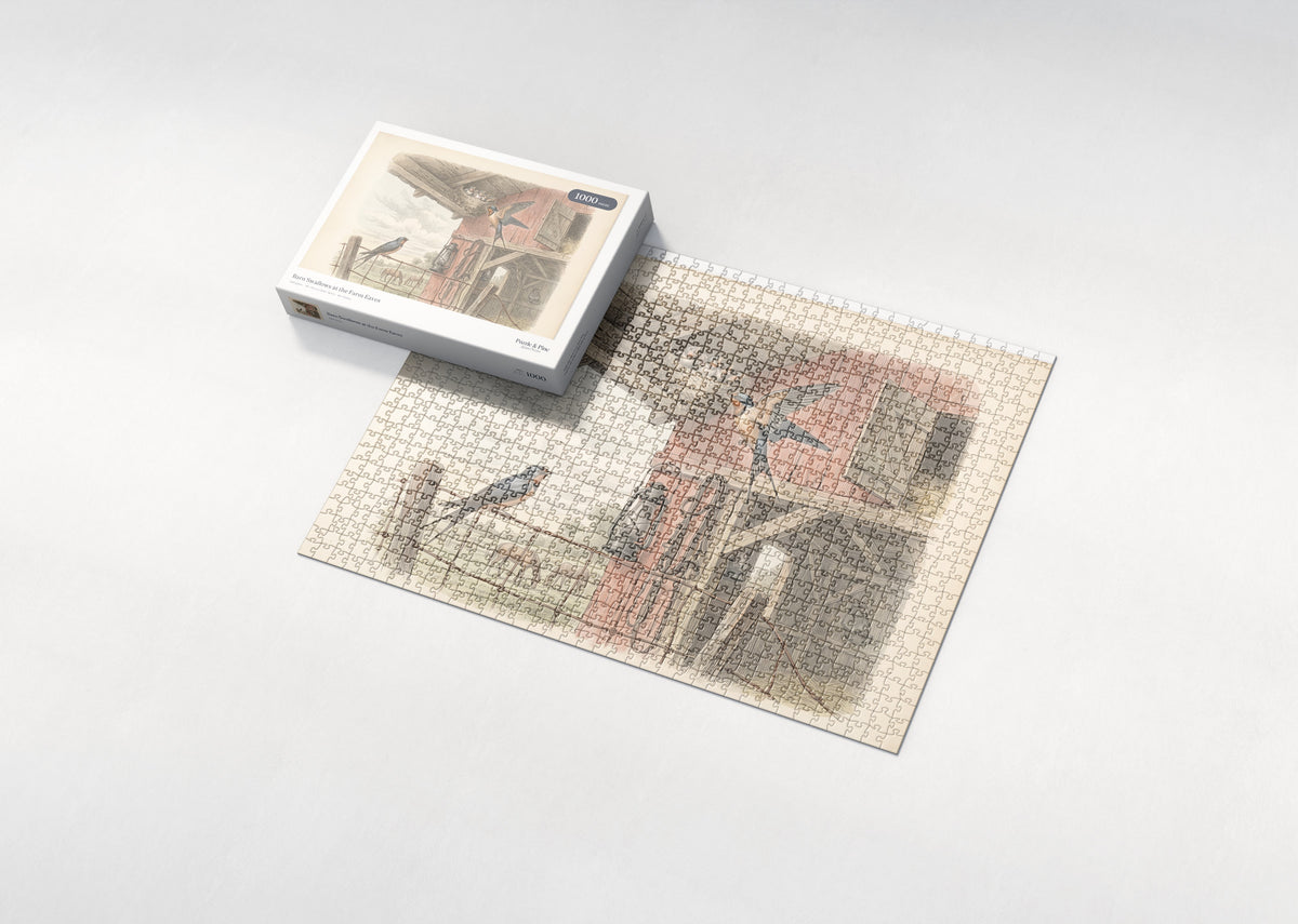 Barn Swallows at the Farm Eaves jigsaw puzzle - box and puzzle