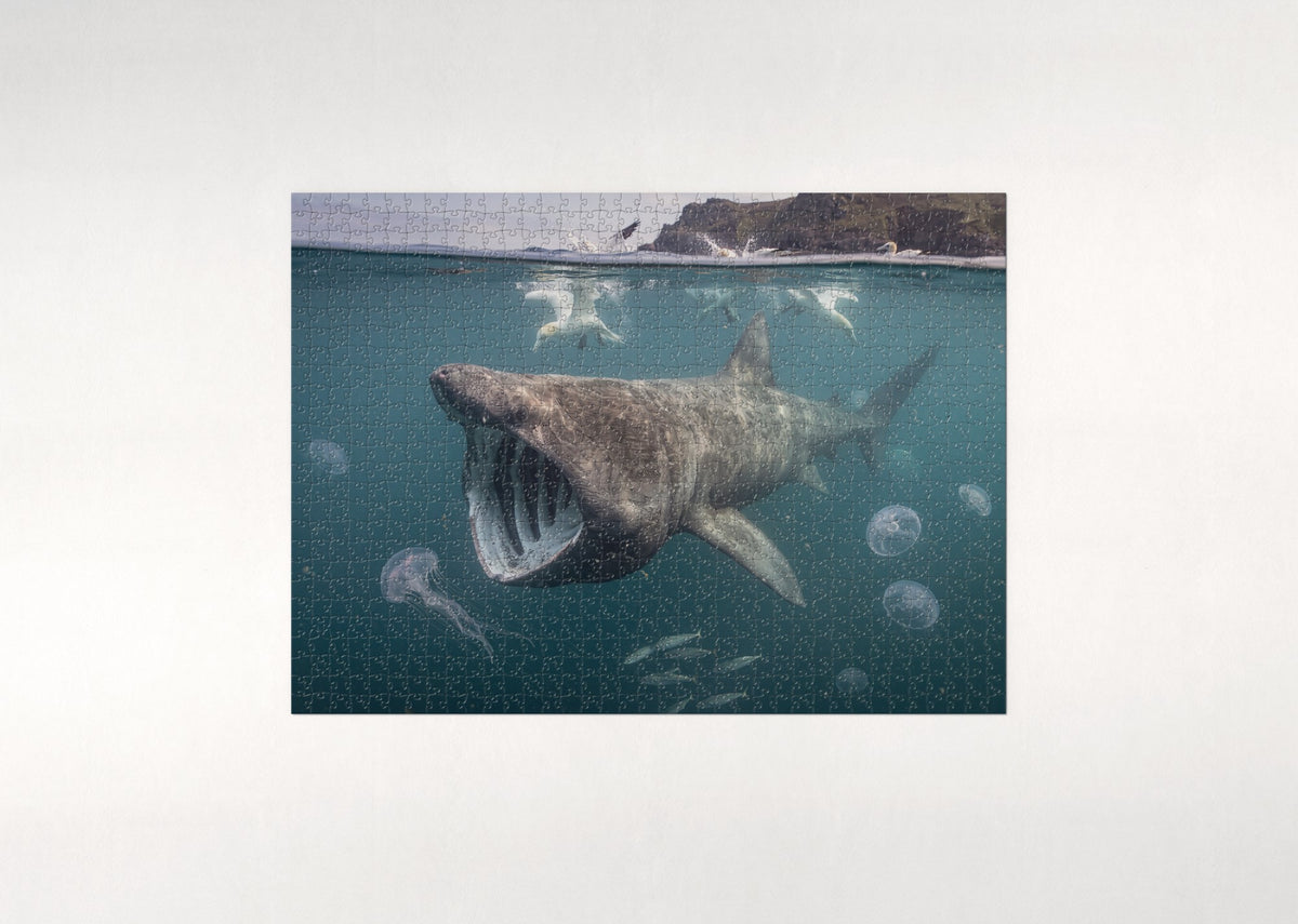 Basking Shark in the Plankton Bloom jigsaw puzzle - flat puzzle