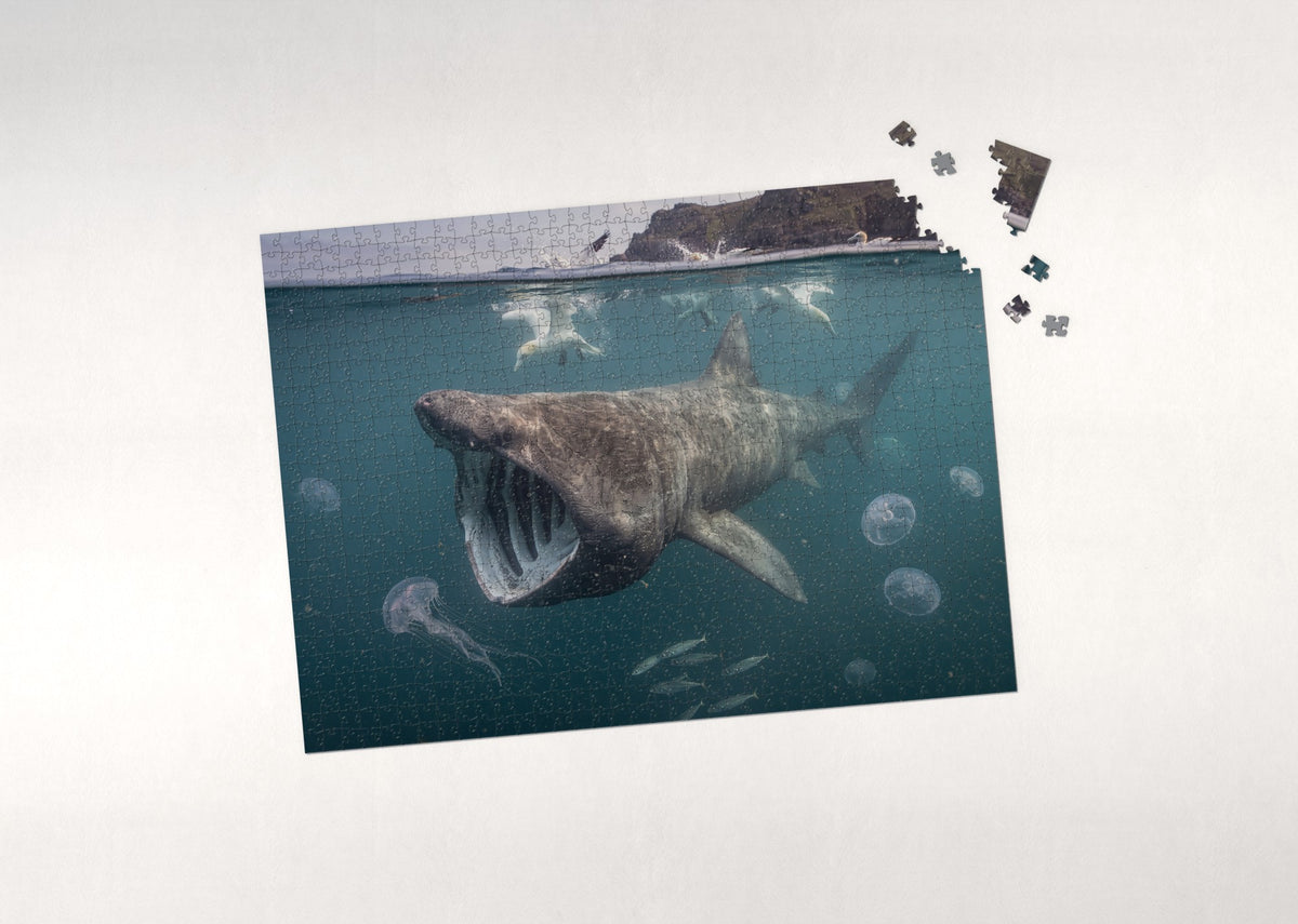 Basking Shark in the Plankton Bloom jigsaw puzzle - puzzle with loose pieces