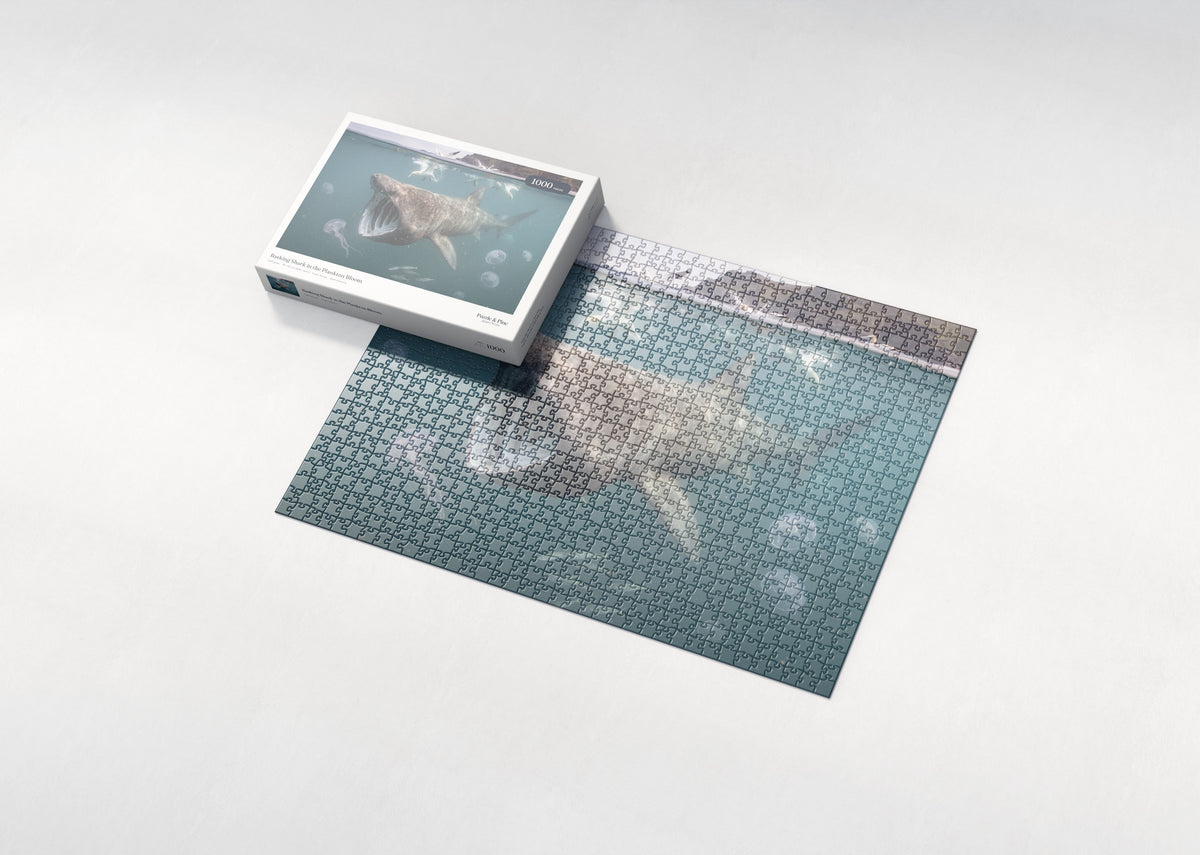 Basking Shark in the Plankton Bloom jigsaw puzzle - box and puzzle