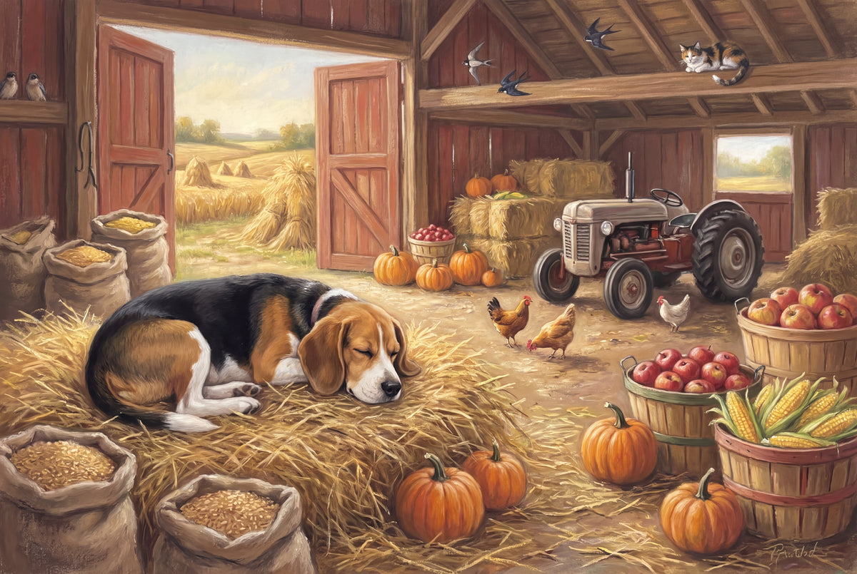 Beagle Napping in the Harvest Barn jigsaw puzzle