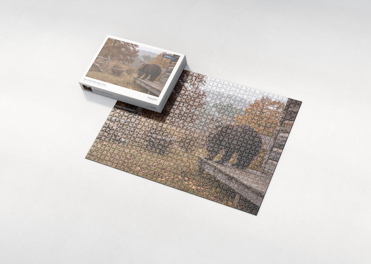 Bear at the Cabin Edge in Fall jigsaw puzzle - box and puzzle