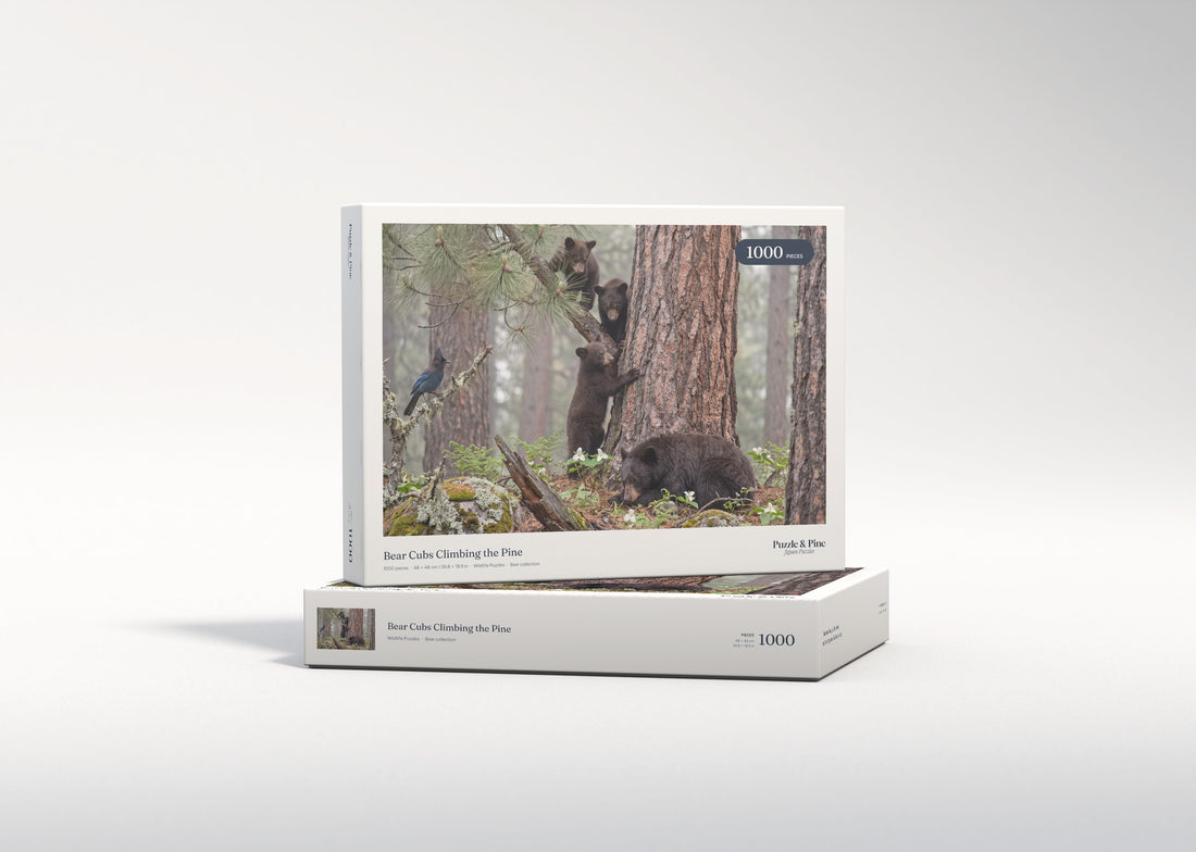 Bear Cubs Climbing the Pine jigsaw puzzle - gift box