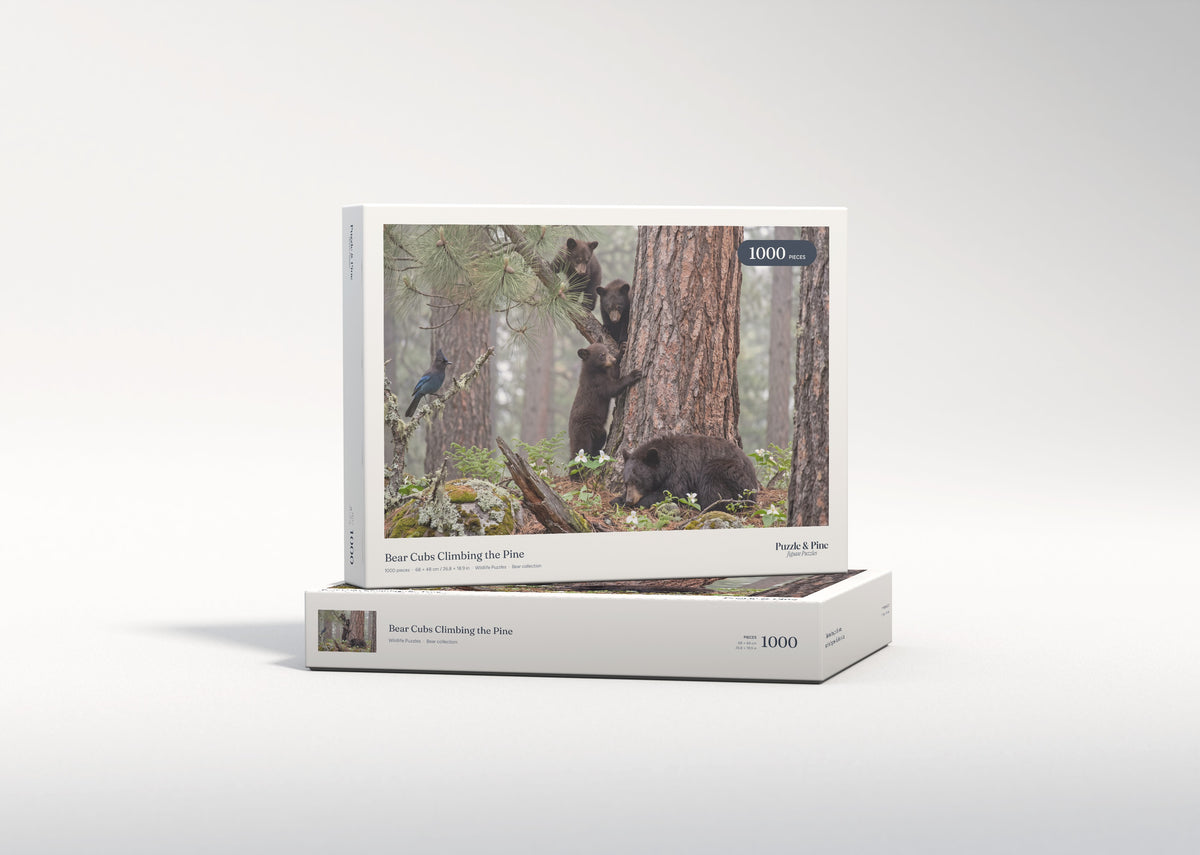 Bear Cubs Climbing the Pine jigsaw puzzle - gift box