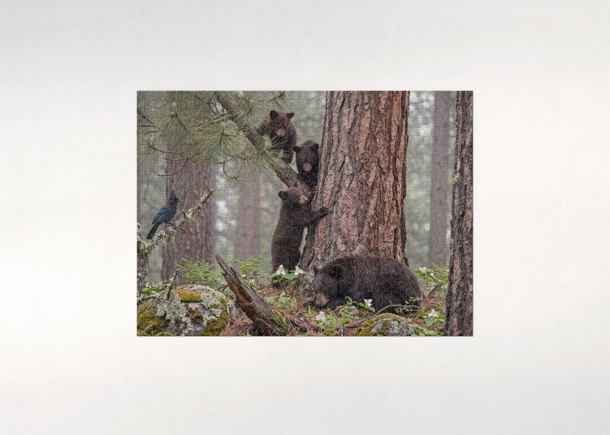 Bear Cubs Climbing the Pine jigsaw puzzle - flat puzzle