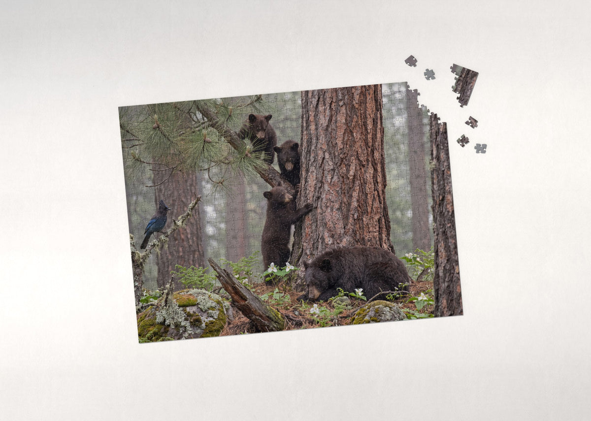 Bear Cubs Climbing the Pine jigsaw puzzle - puzzle with loose pieces