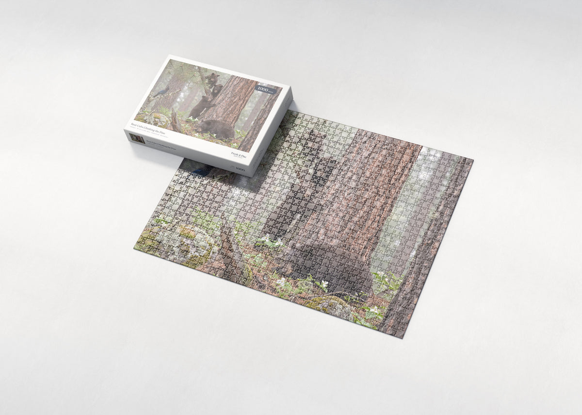 Bear Cubs Climbing the Pine jigsaw puzzle - box and puzzle