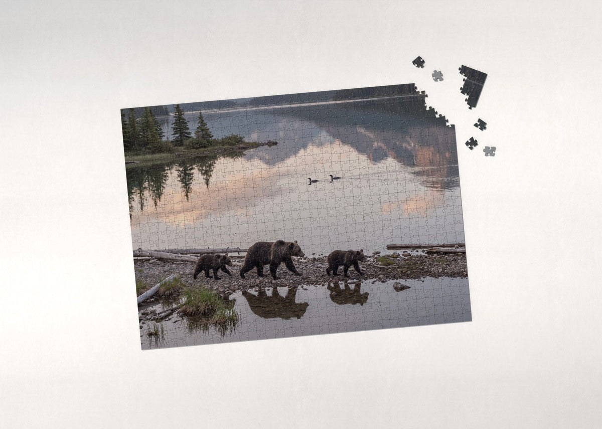 Bear Family at the Lakeshore Sunrise jigsaw puzzle - puzzle with loose pieces