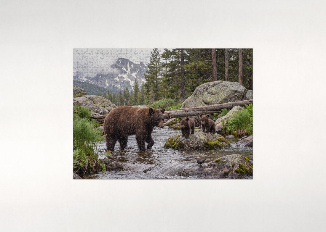 Bear Family at the Mountain Stream jigsaw puzzle - gift box