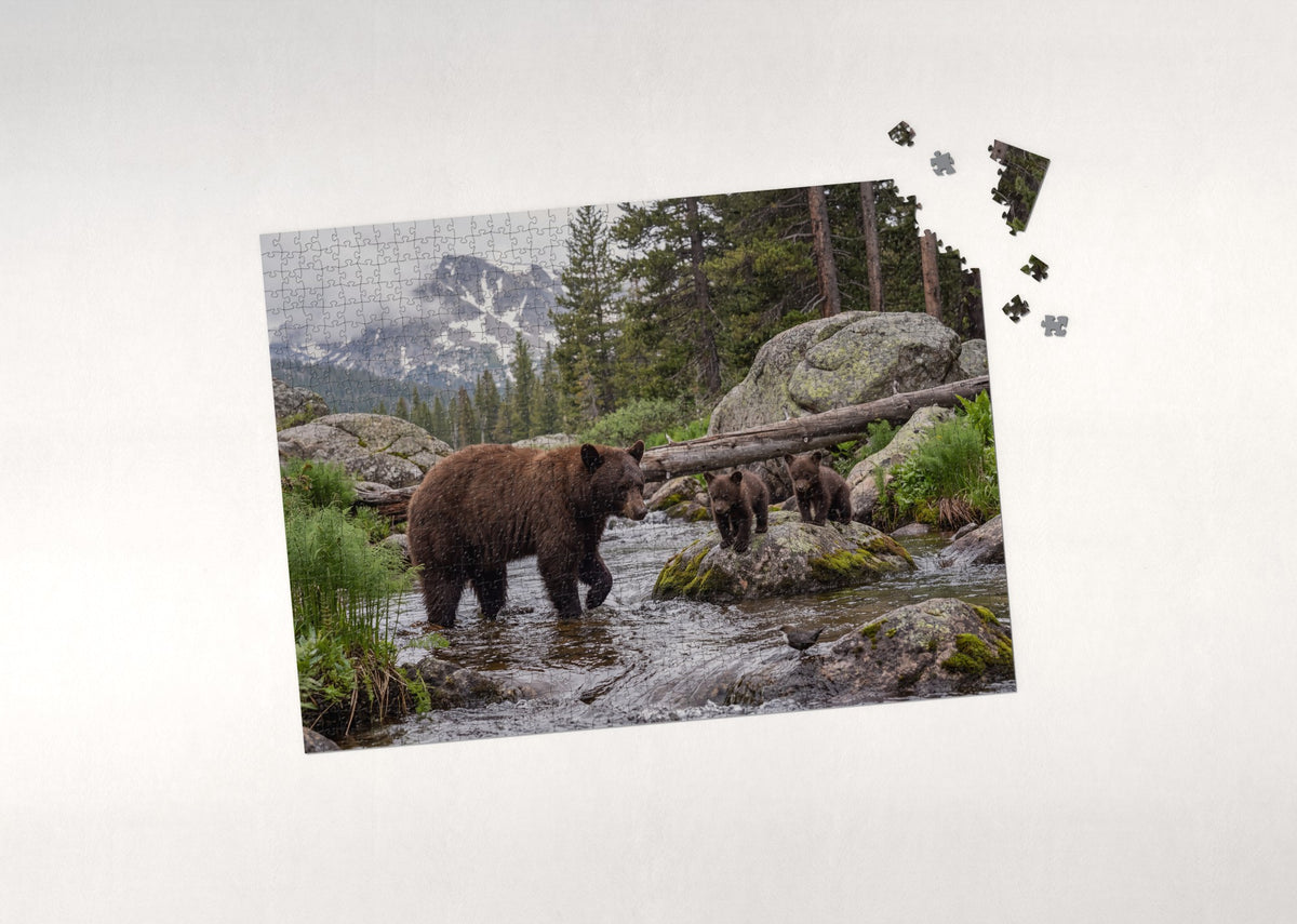 Bear Family at the Mountain Stream jigsaw puzzle - puzzle with loose pieces