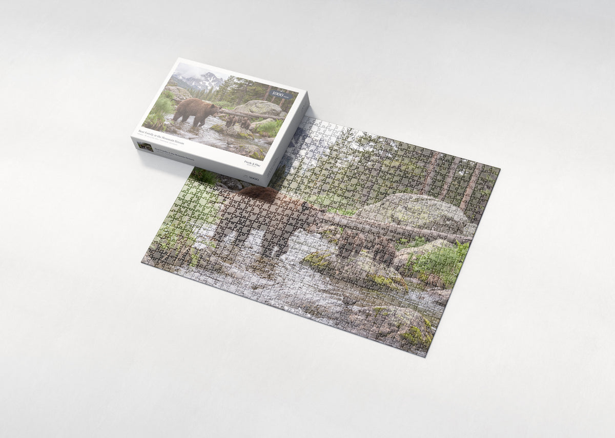 Bear Family at the Mountain Stream jigsaw puzzle - box and puzzle
