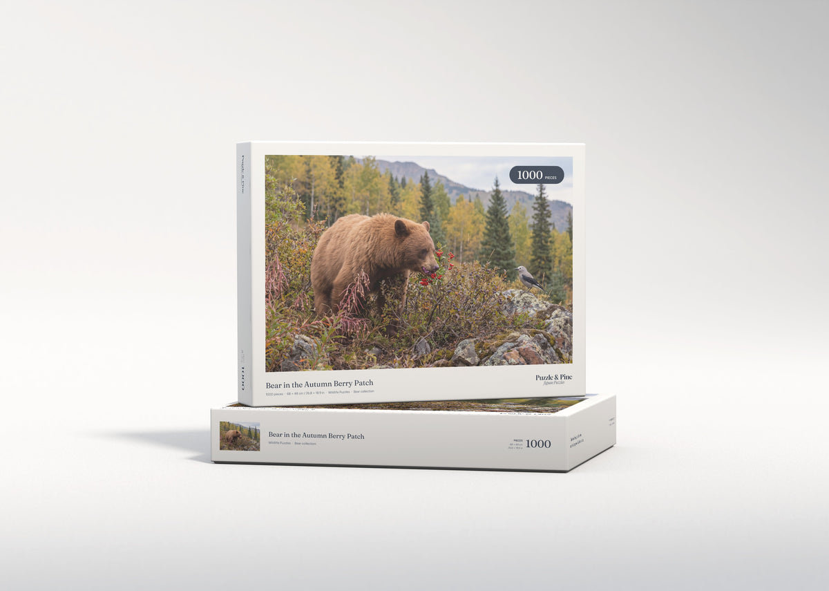 Bear in the Autumn Berry Patch jigsaw puzzle - gift box