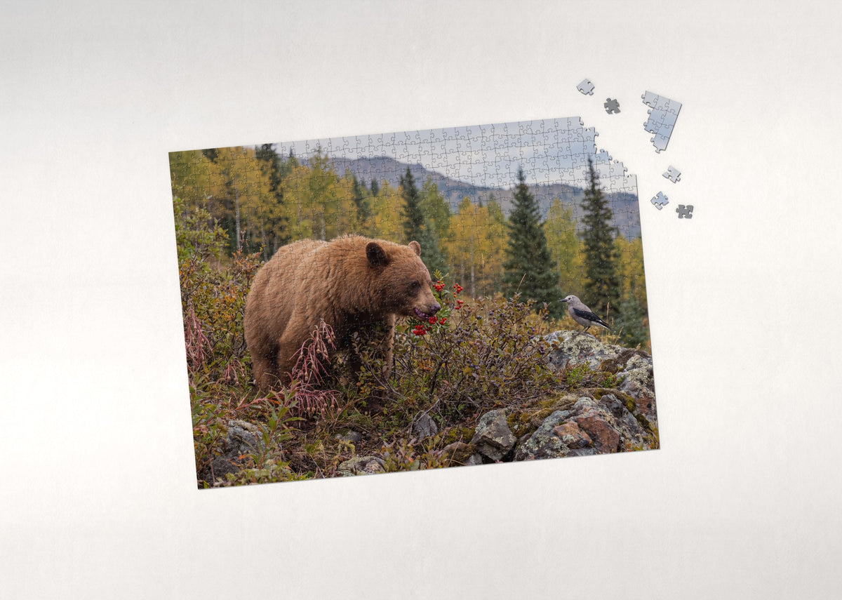 Bear in the Autumn Berry Patch jigsaw puzzle - puzzle with loose pieces