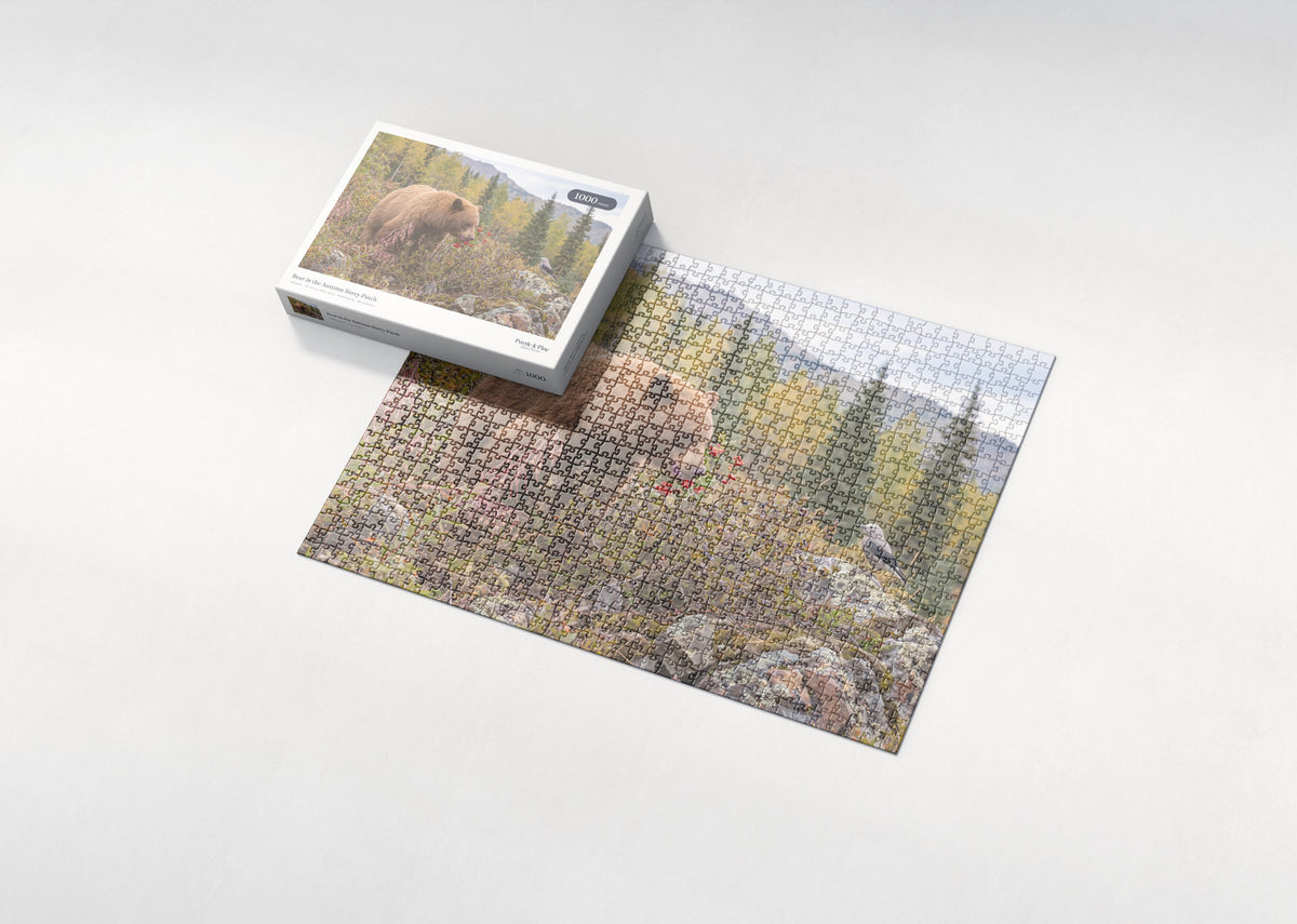 Bear in the Autumn Berry Patch jigsaw puzzle - box and puzzle