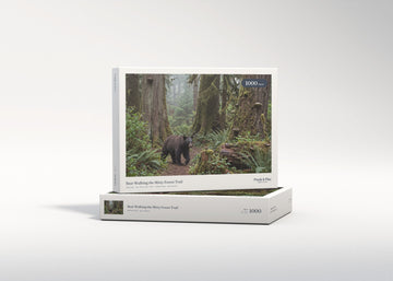 Bear Walking the Misty Forest Trail jigsaw puzzle - gift box