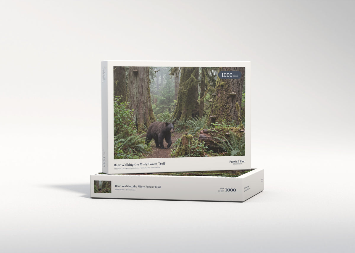 Bear Walking the Misty Forest Trail jigsaw puzzle - gift box