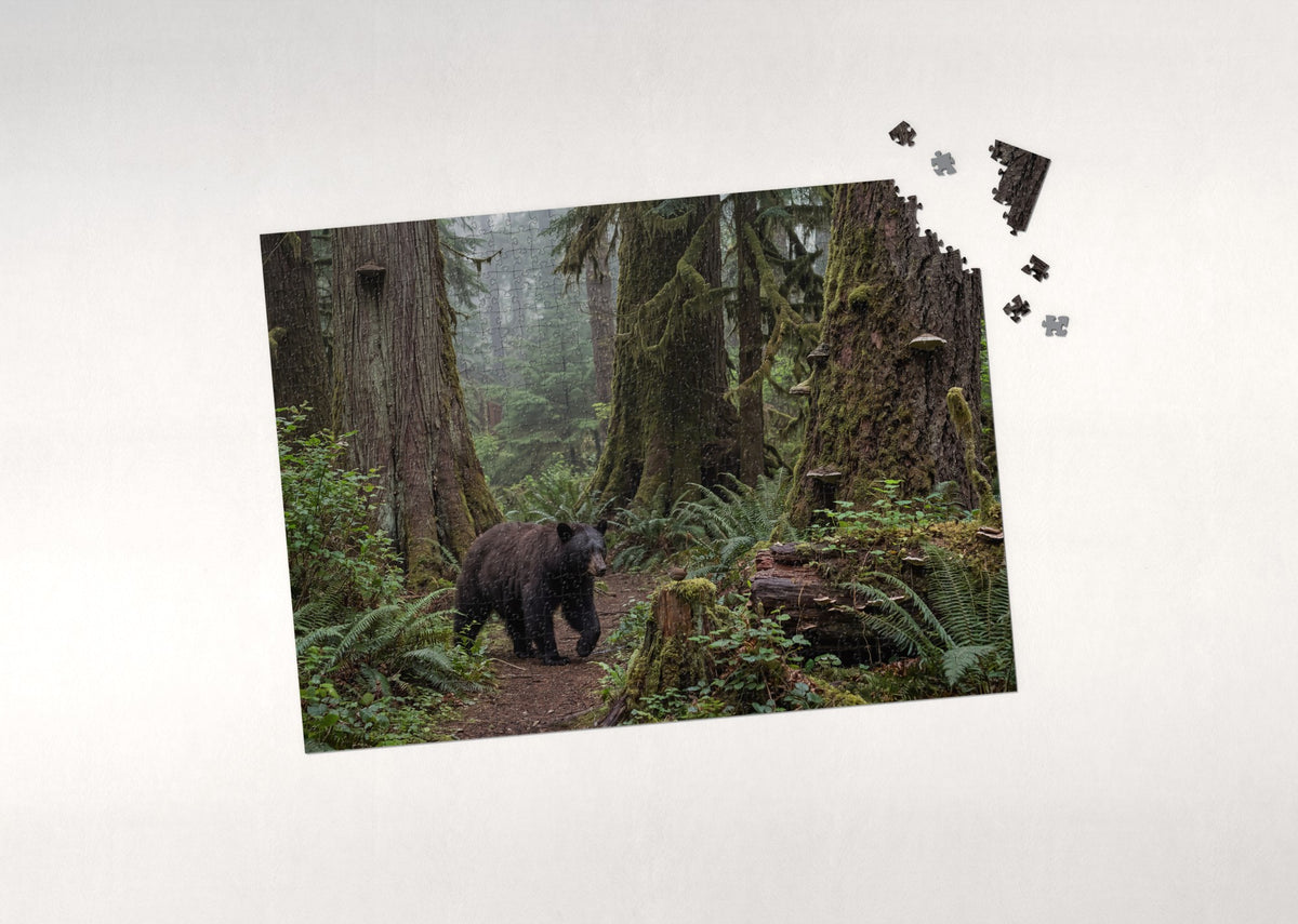 Bear Walking the Misty Forest Trail jigsaw puzzle - puzzle with loose pieces