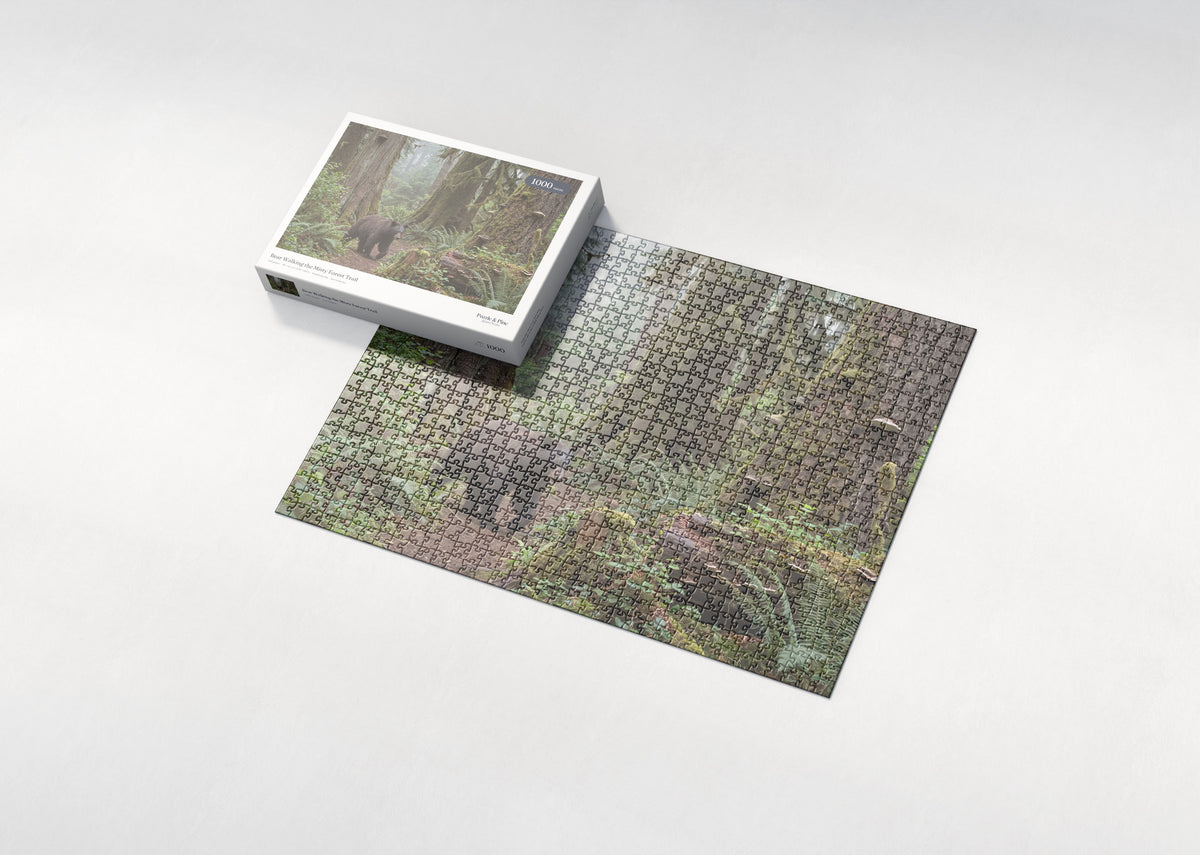 Bear Walking the Misty Forest Trail jigsaw puzzle - box and puzzle