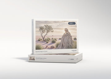 Bearded Dragon at Sunset jigsaw puzzle - gift box