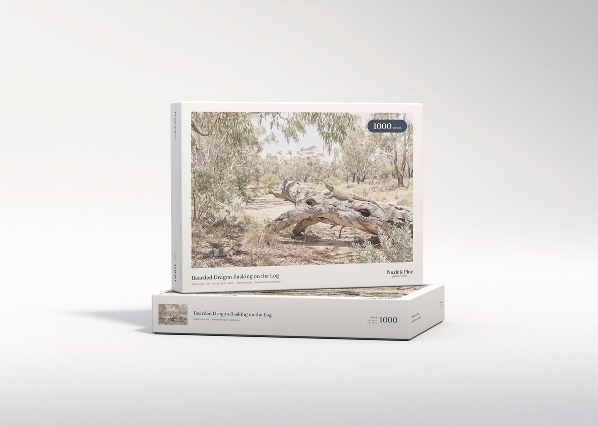 Bearded Dragon Basking on the Log jigsaw puzzle - gift box