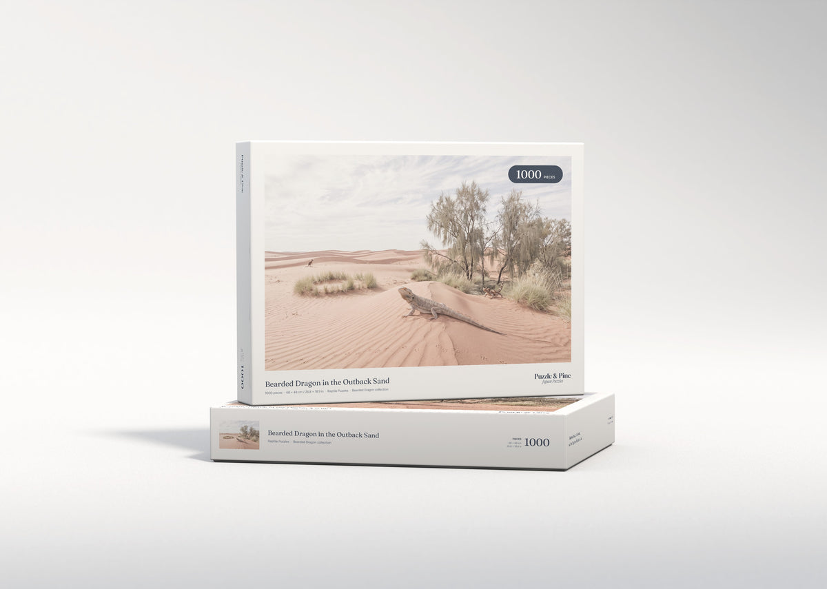 Bearded Dragon in the Outback Sand jigsaw puzzle - gift box