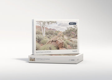 Bearded Dragon on the Red Rock jigsaw puzzle - gift box