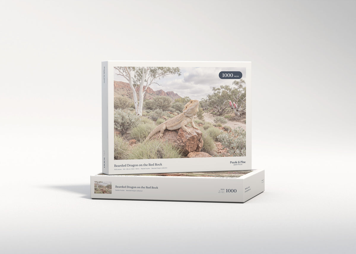 Bearded Dragon on the Red Rock jigsaw puzzle - gift box