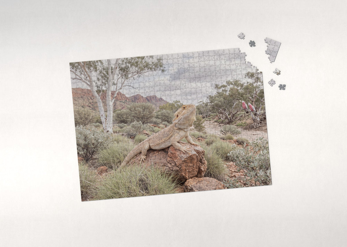 Bearded Dragon on the Red Rock jigsaw puzzle - puzzle with loose pieces