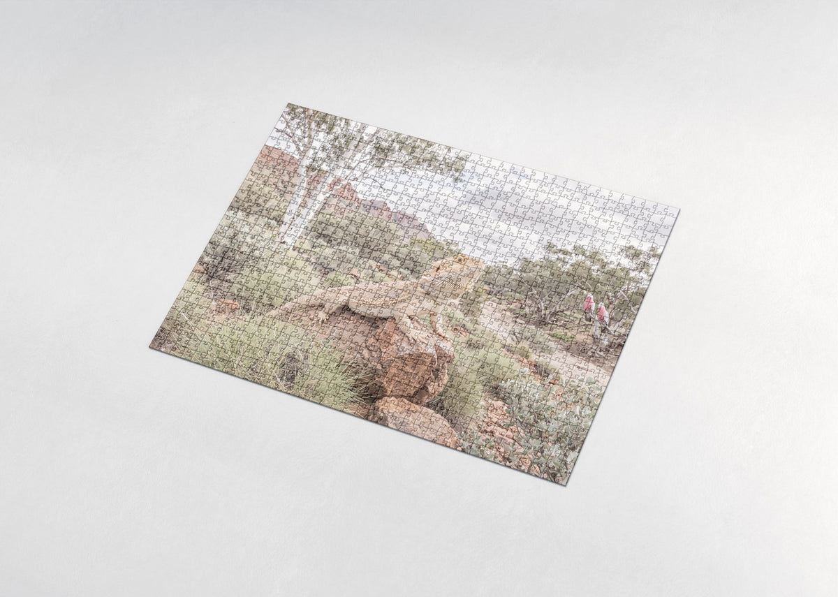 Bearded Dragon on the Red Rock jigsaw puzzle - assembled puzzle
