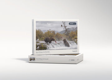 Bears Fishing at the Waterfall jigsaw puzzle - gift box