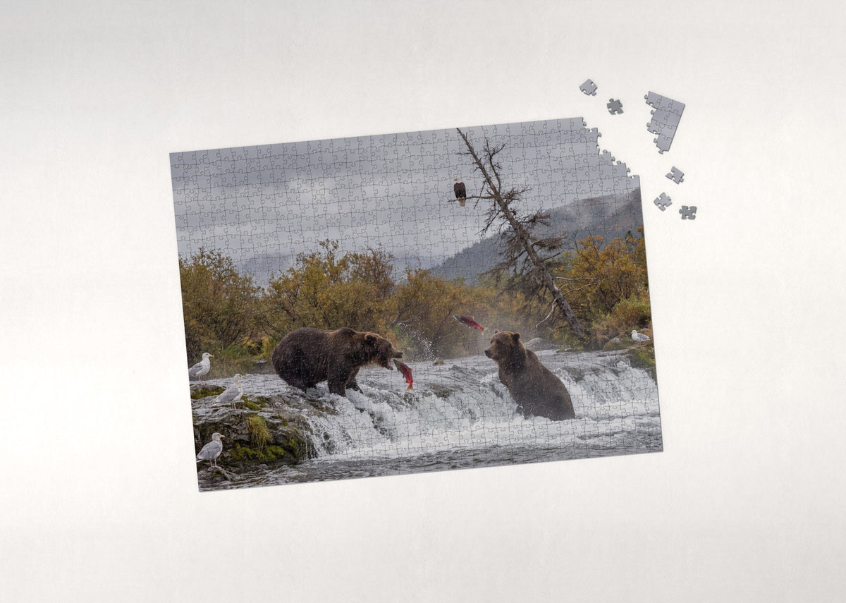 Bears Fishing at the Waterfall jigsaw puzzle - puzzle with loose pieces