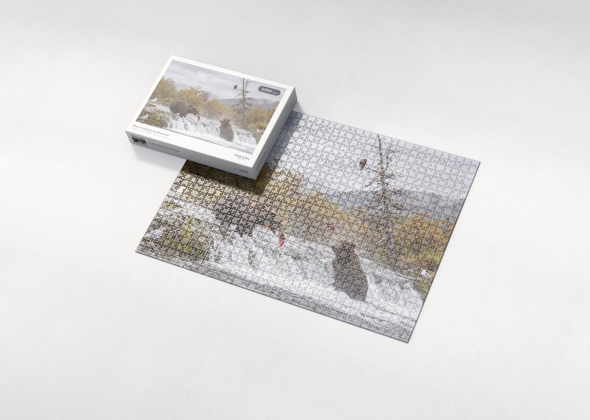 Bears Fishing at the Waterfall jigsaw puzzle - box and puzzle