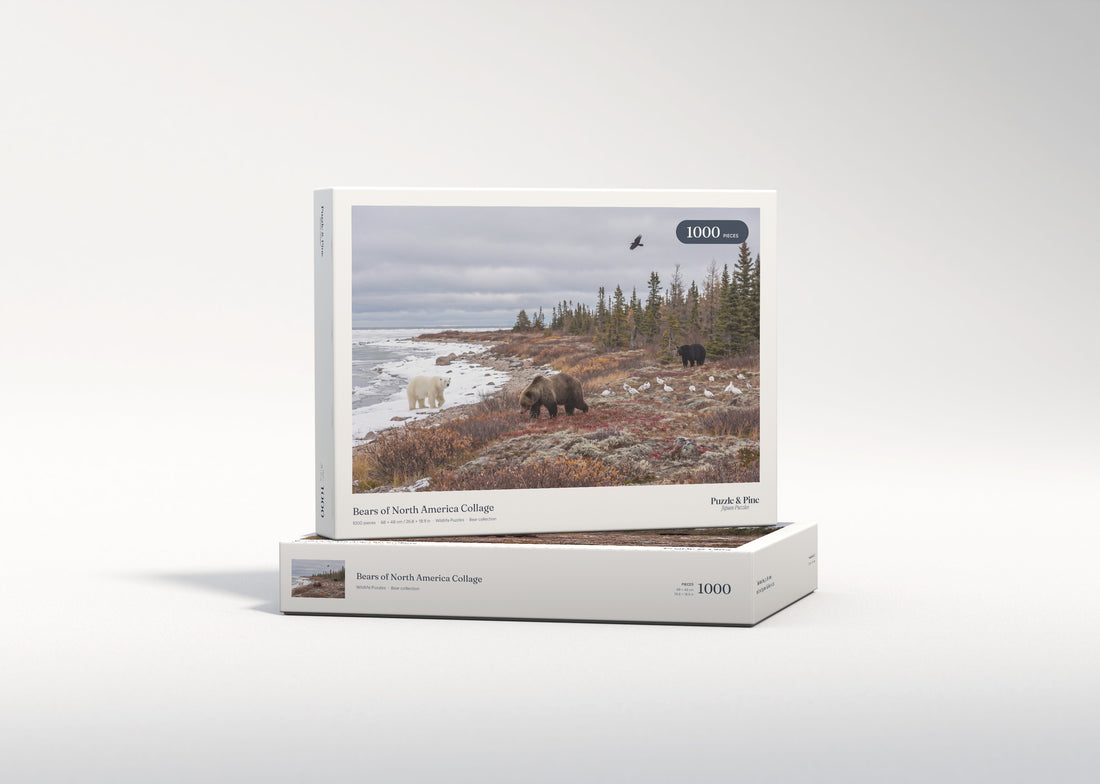 Bears of North America Collage jigsaw puzzle - gift box