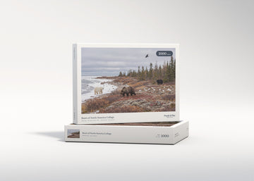 Bears of North America Collage jigsaw puzzle - gift box