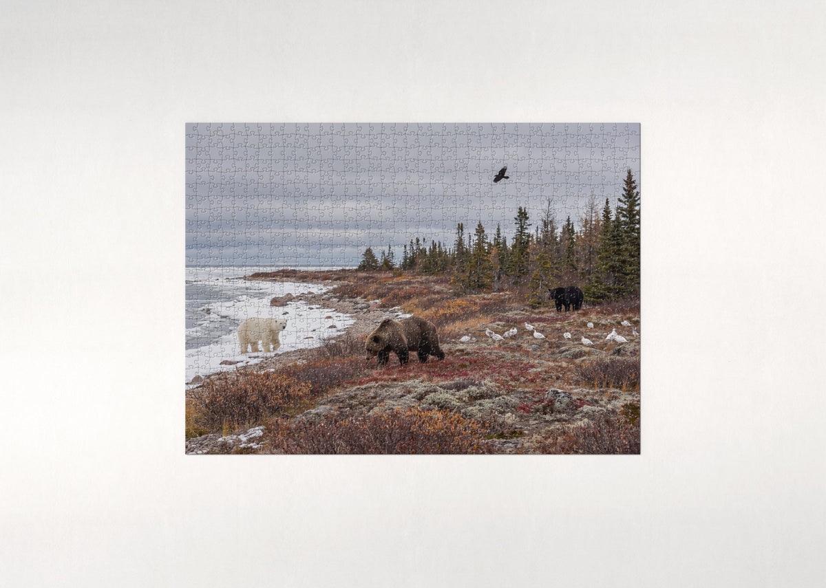 Bears of North America Collage jigsaw puzzle - flat puzzle