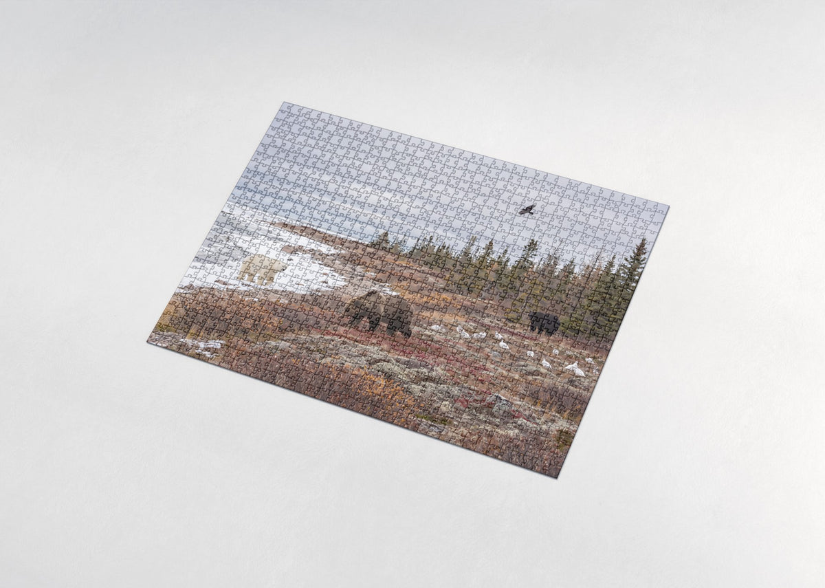 Bears of North America Collage jigsaw puzzle - assembled puzzle