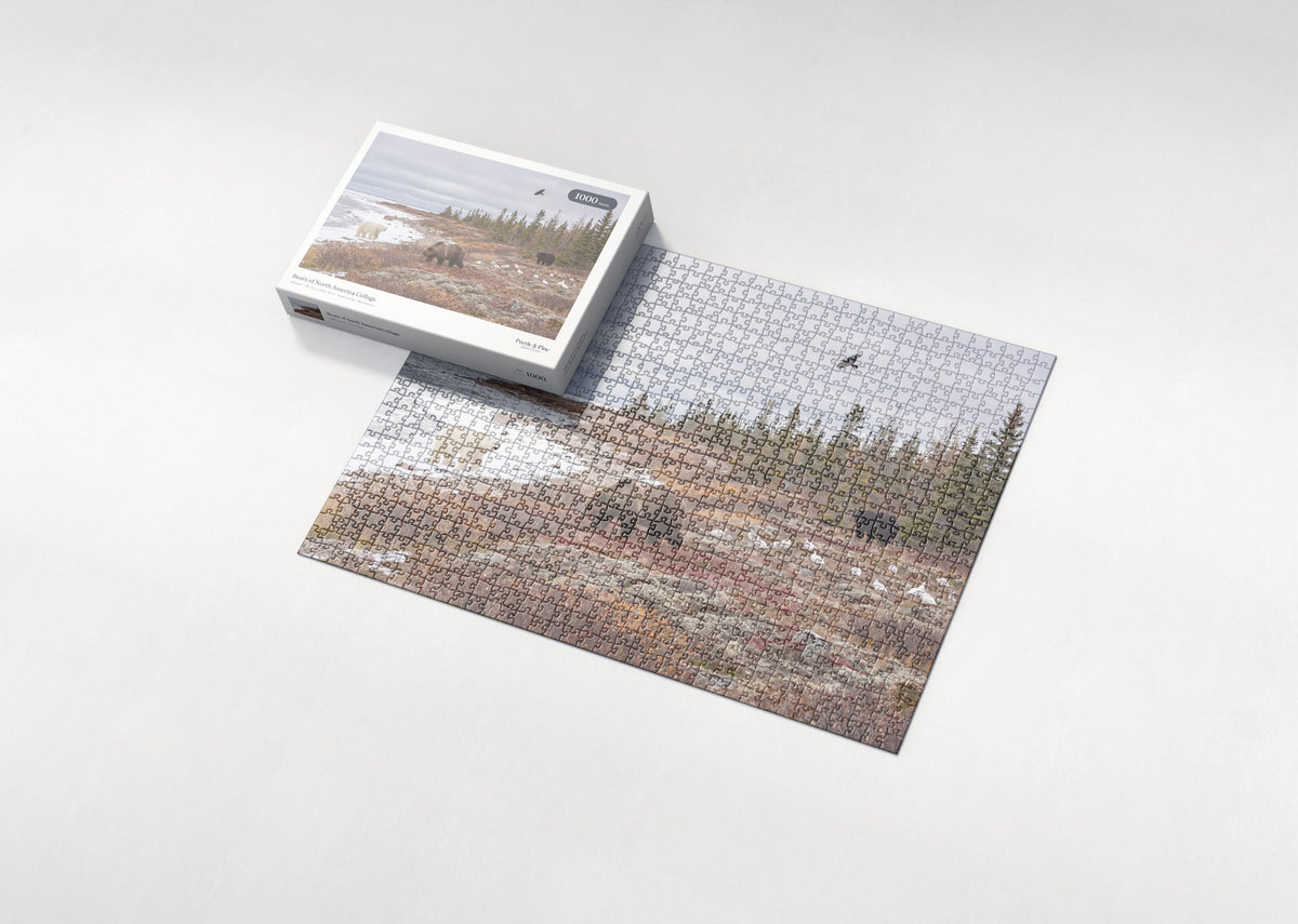 Bears of North America Collage jigsaw puzzle - box and puzzle