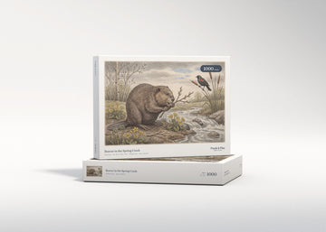 Beaver in the Spring Creek jigsaw puzzle - gift box