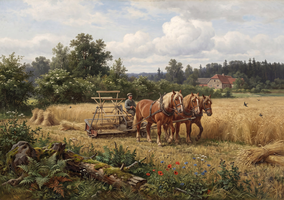 Belgian Team in the Wheat Field jigsaw puzzle