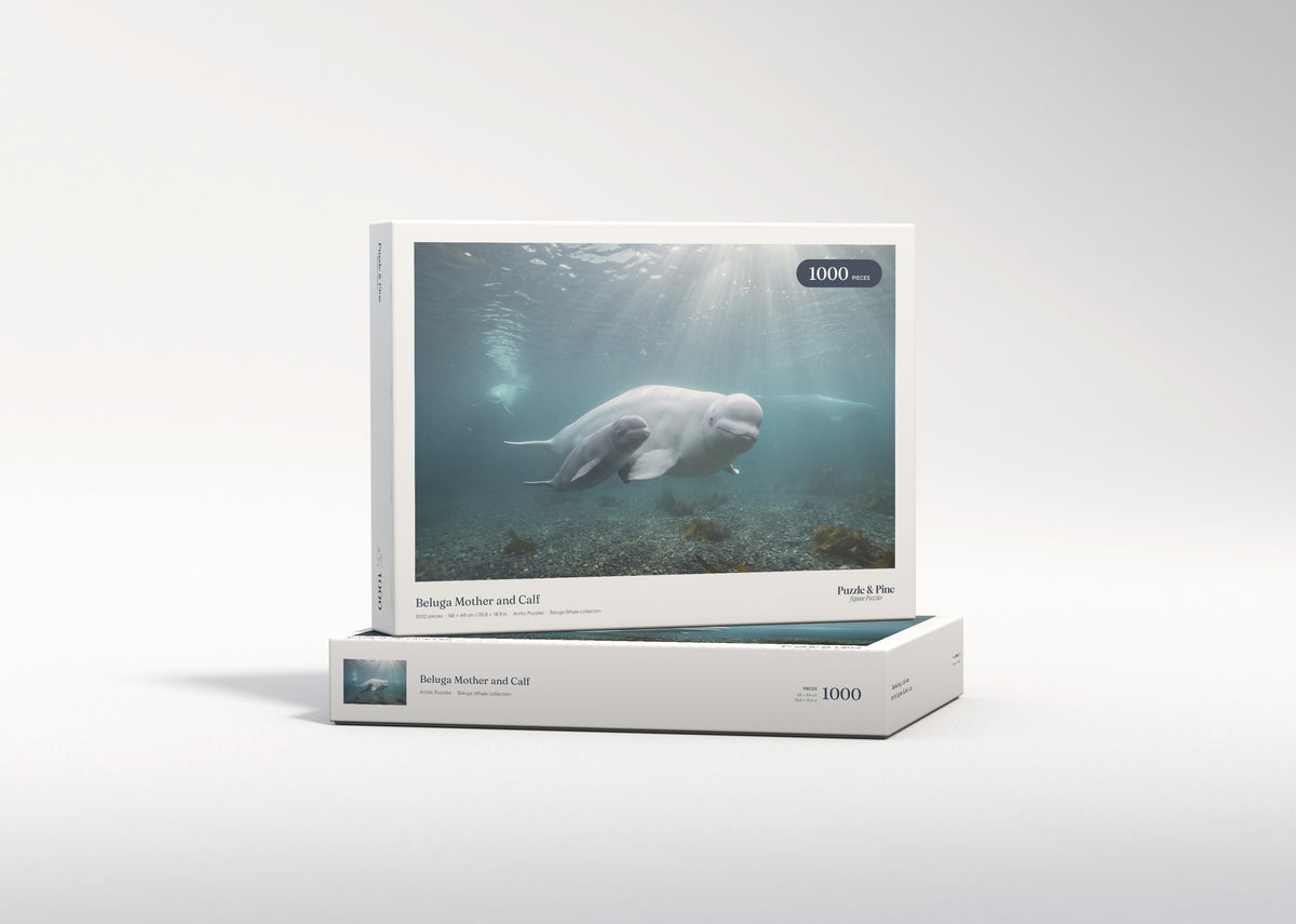 Beluga Mother and Calf jigsaw puzzle - gift box