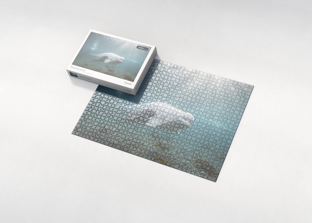 Beluga Mother and Calf jigsaw puzzle - box and puzzle