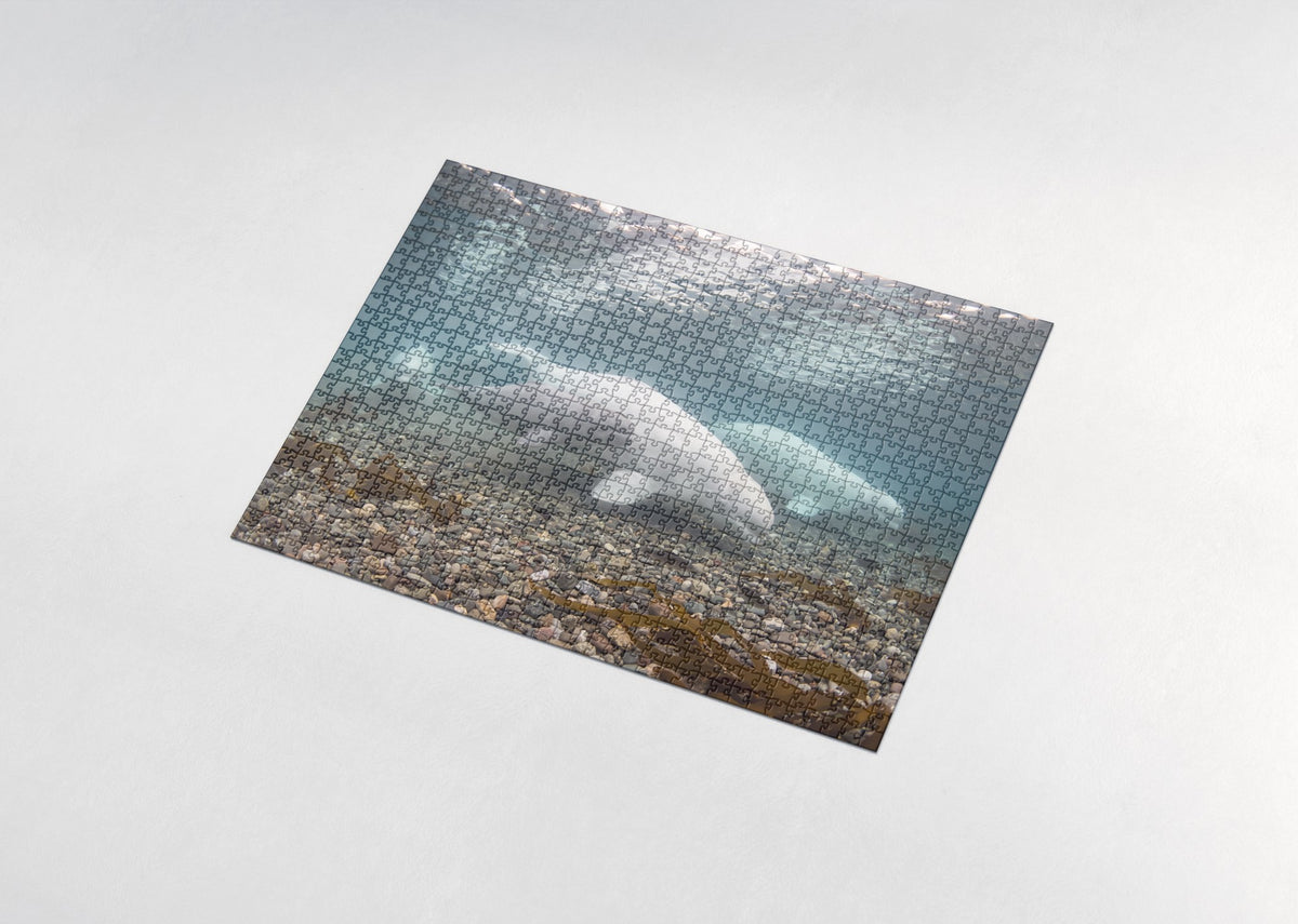 Beluga Pod in the Arctic Shallows jigsaw puzzle - assembled puzzle