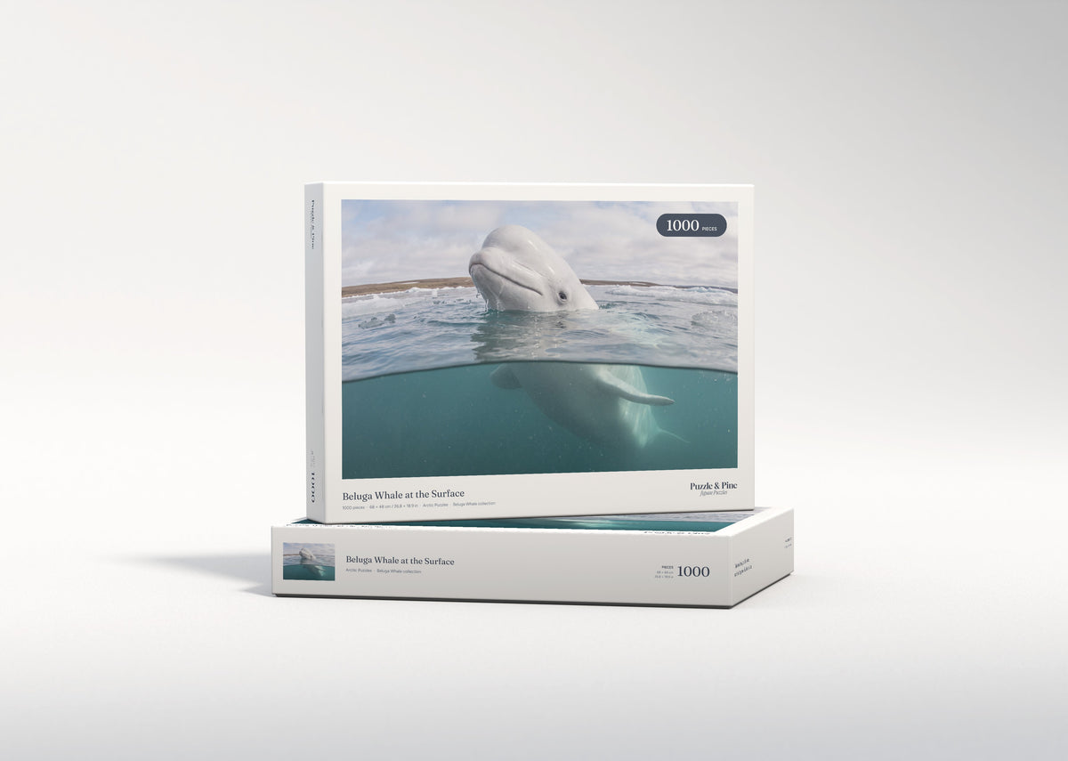Beluga Whale at the Surface jigsaw puzzle - gift box