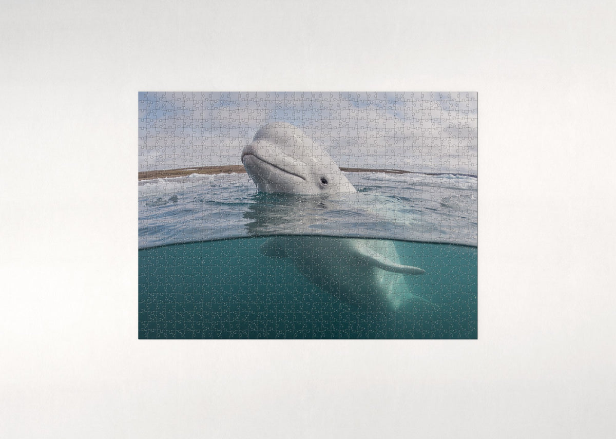 Beluga Whale at the Surface jigsaw puzzle - flat puzzle