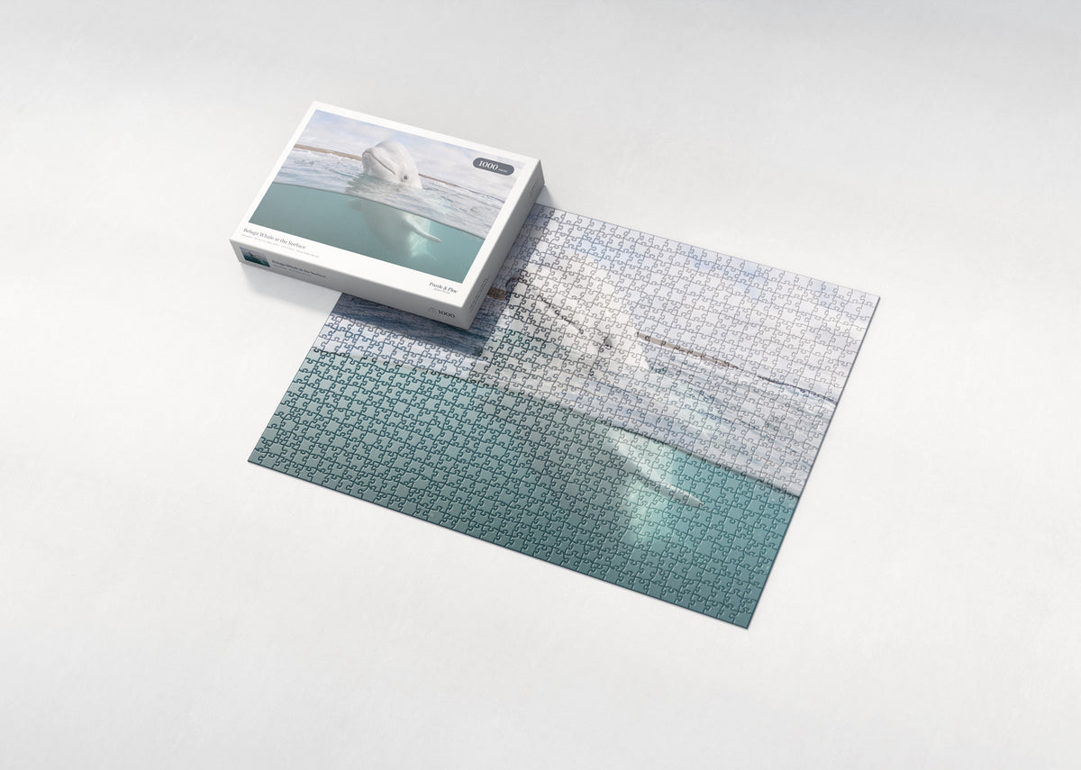 Beluga Whale at the Surface jigsaw puzzle - box and puzzle