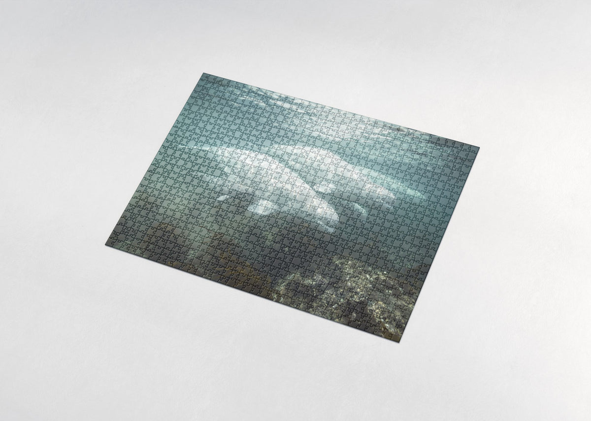 Beluga Whales in the Hudson Bay jigsaw puzzle - assembled puzzle