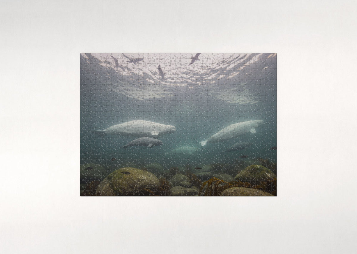 Belugas at the Churchill River jigsaw puzzle - flat puzzle