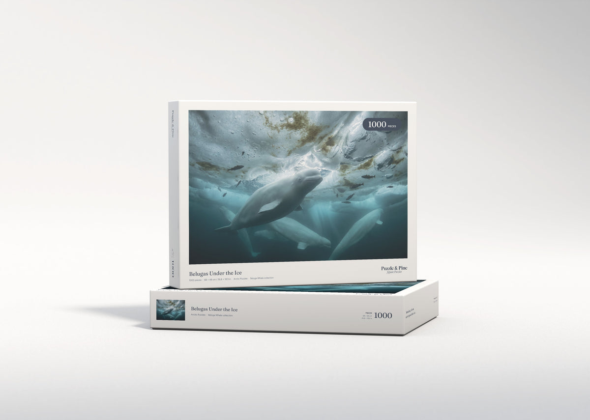 Belugas Under the Ice jigsaw puzzle - gift box